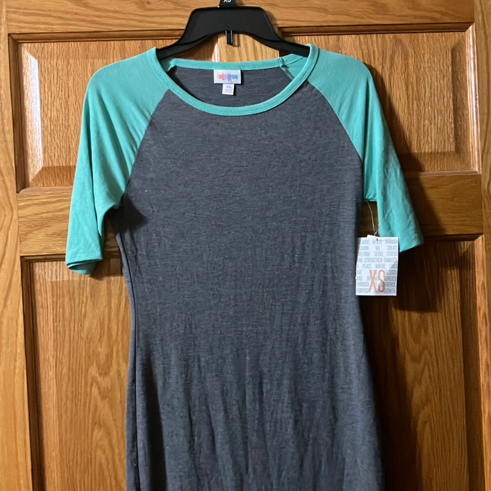 Lularoe Gray/mint XS Julia NWT
